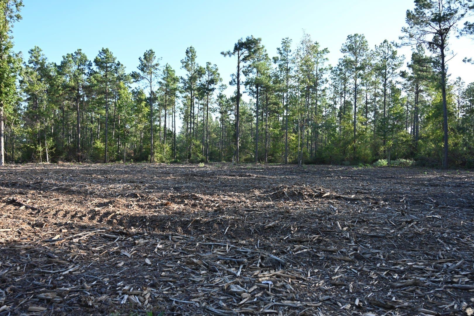 102 acres in Shelby County - photo 16