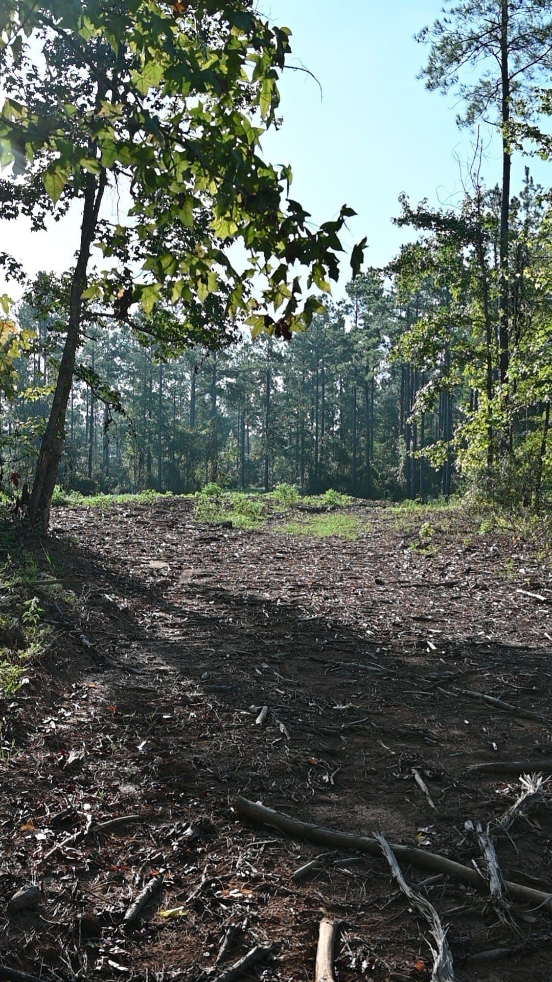 102 acres in Shelby County - photo 22