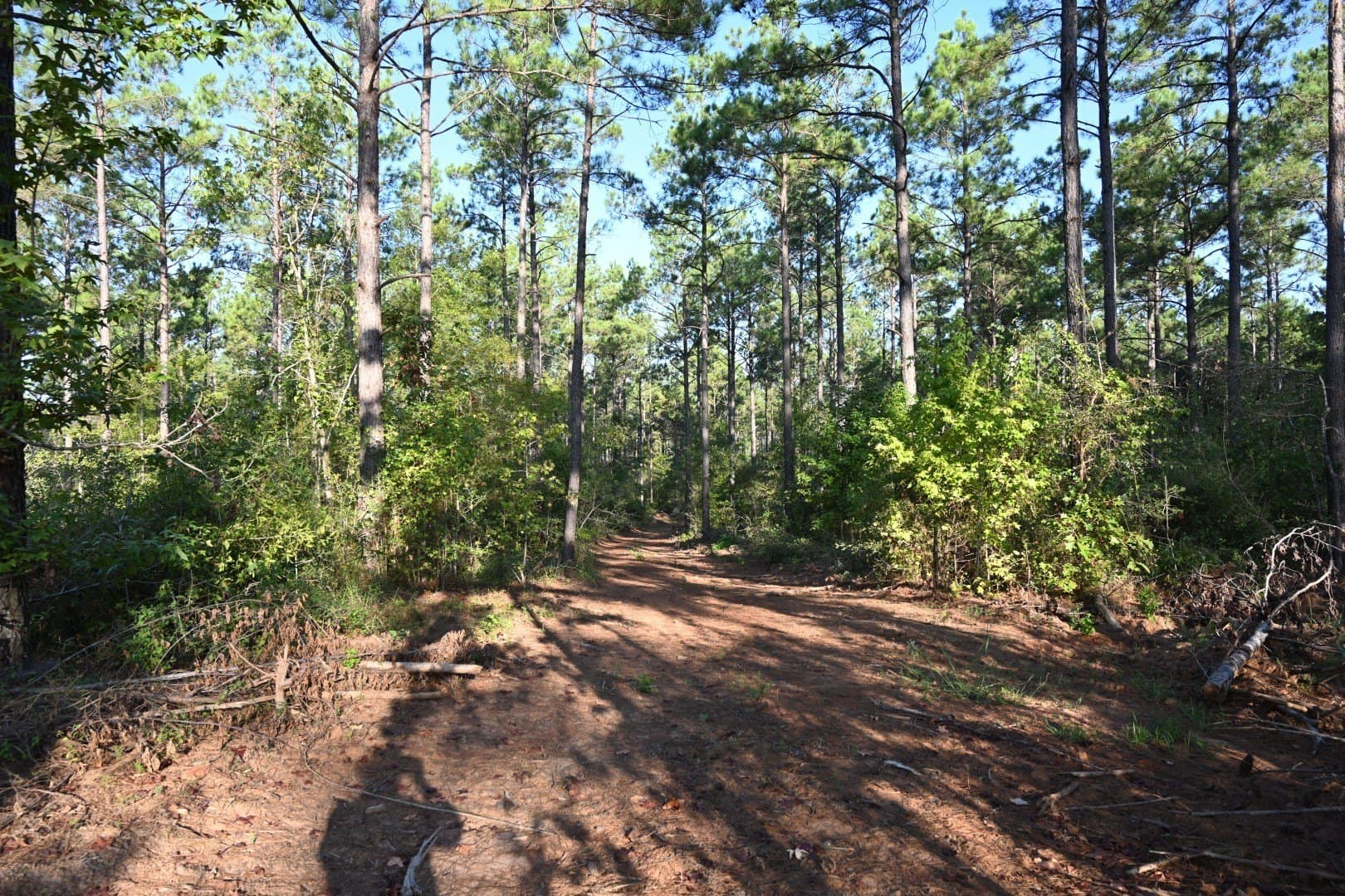102 acres in Shelby County - photo 18