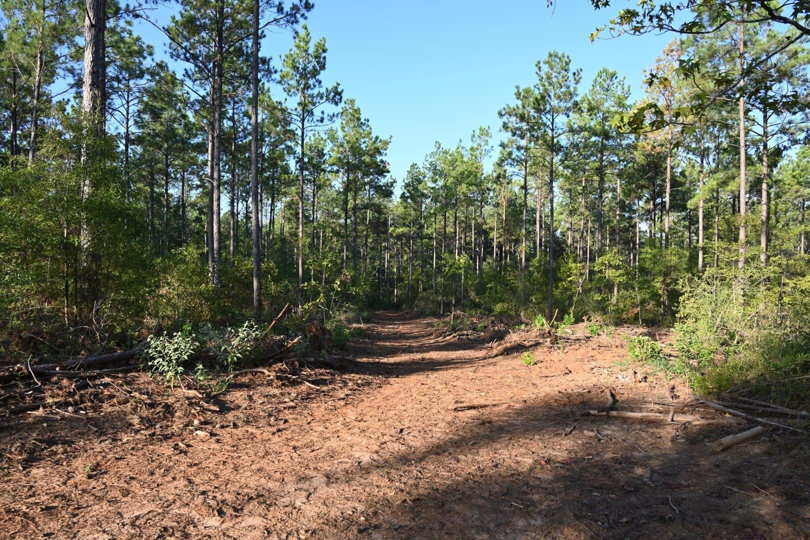 102 acres in Shelby County - photo 17