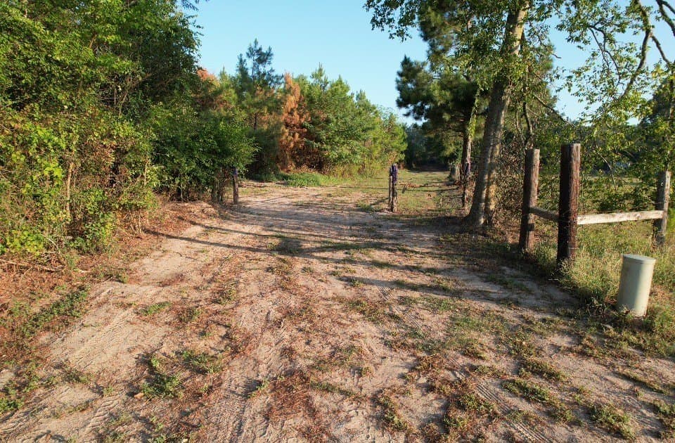 102 acres in Shelby County - photo 3