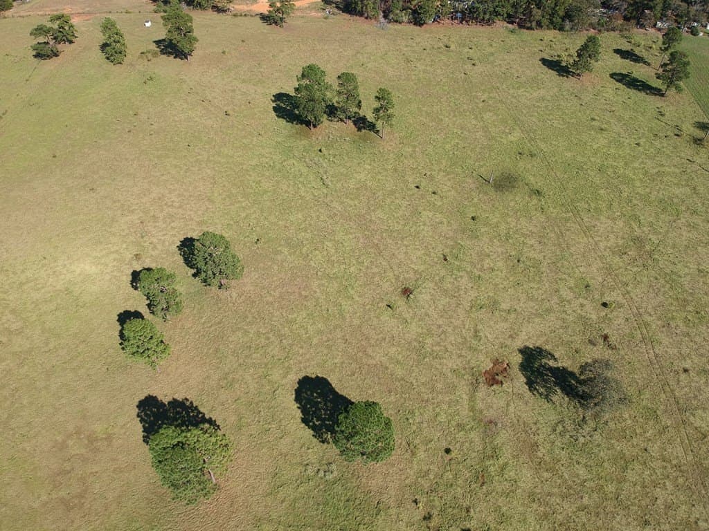 3.05 acres in Texas County featured view