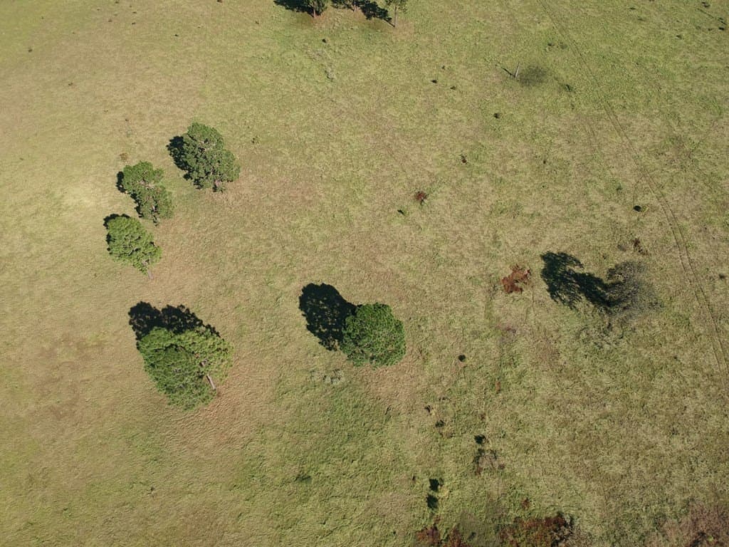 3.05 acres in Texas County gallery image 4