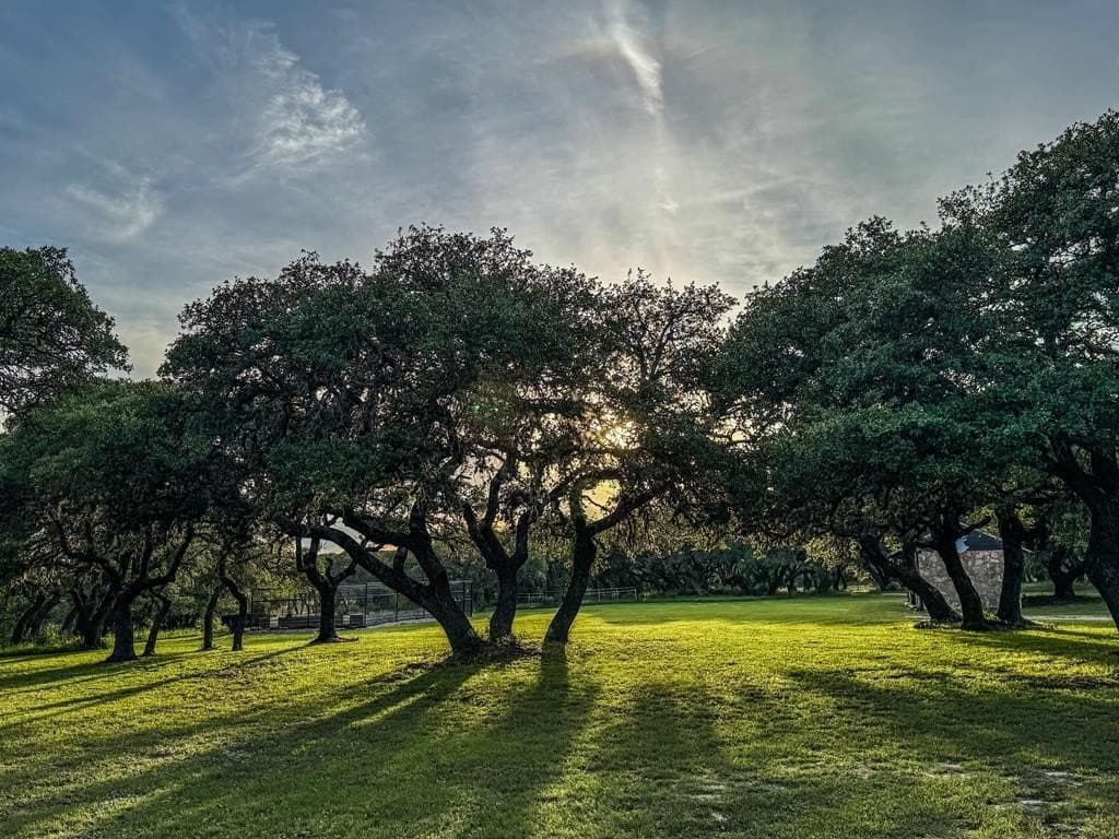 25.39 acres in Blanco County - photo 41
