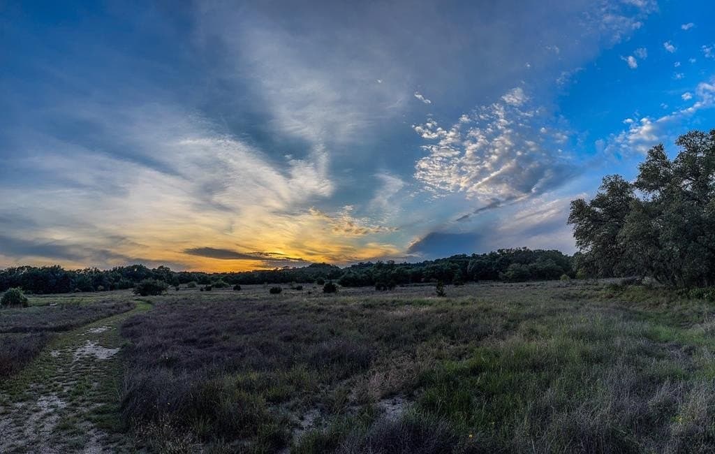 25.39 acres in Blanco County - photo 30