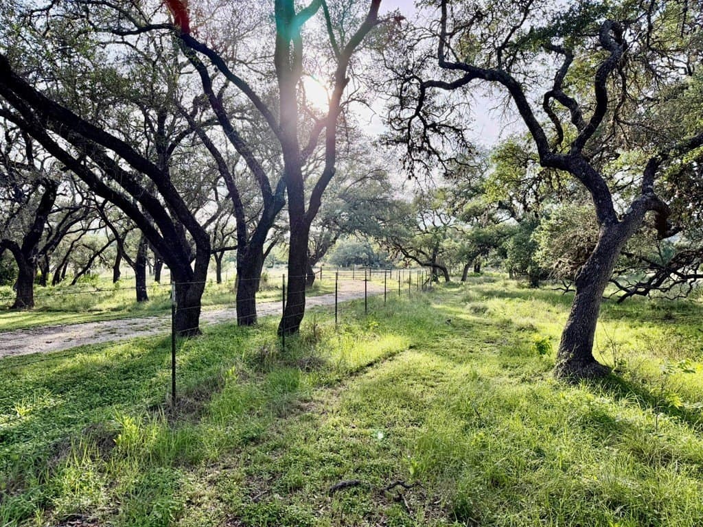 25.39 acres in Blanco County - photo 29