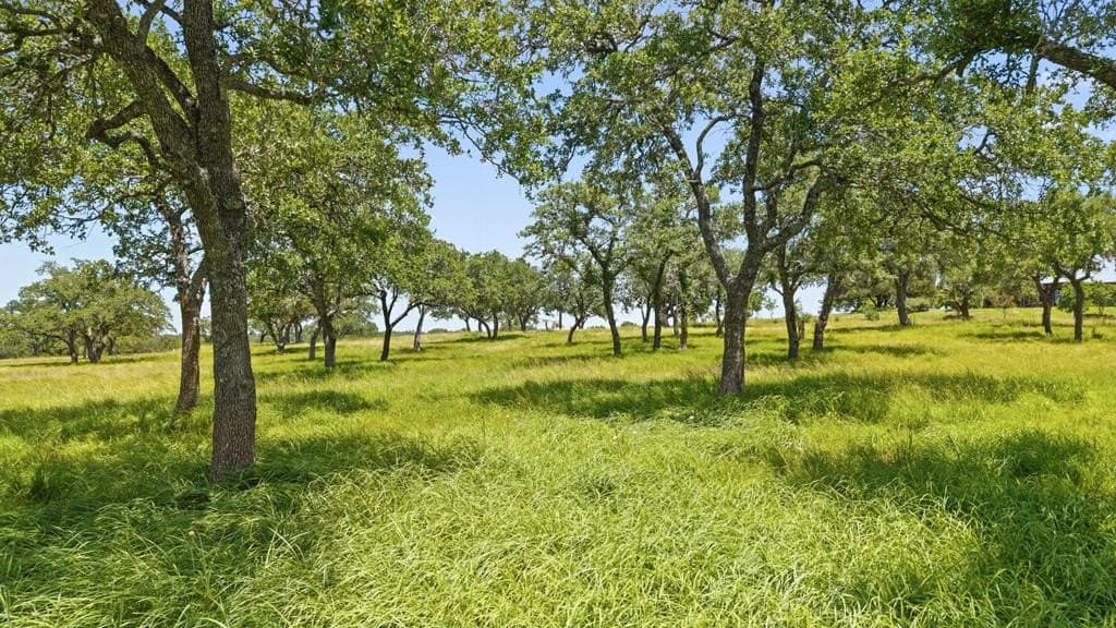 25 acres in Blanco County - photo 42