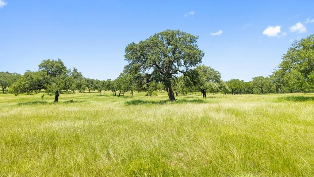 25 acres in Blanco County - photo 43