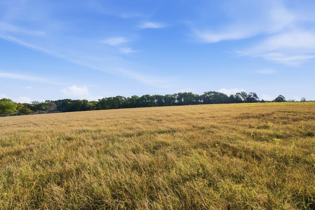 87.5 acres in HENDERSON County - photo 21