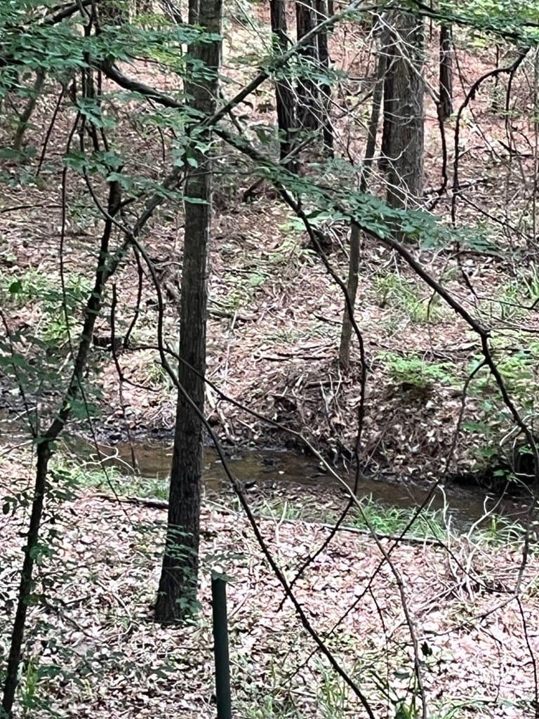 2.55 acres in CHEROKEE County gallery image 3