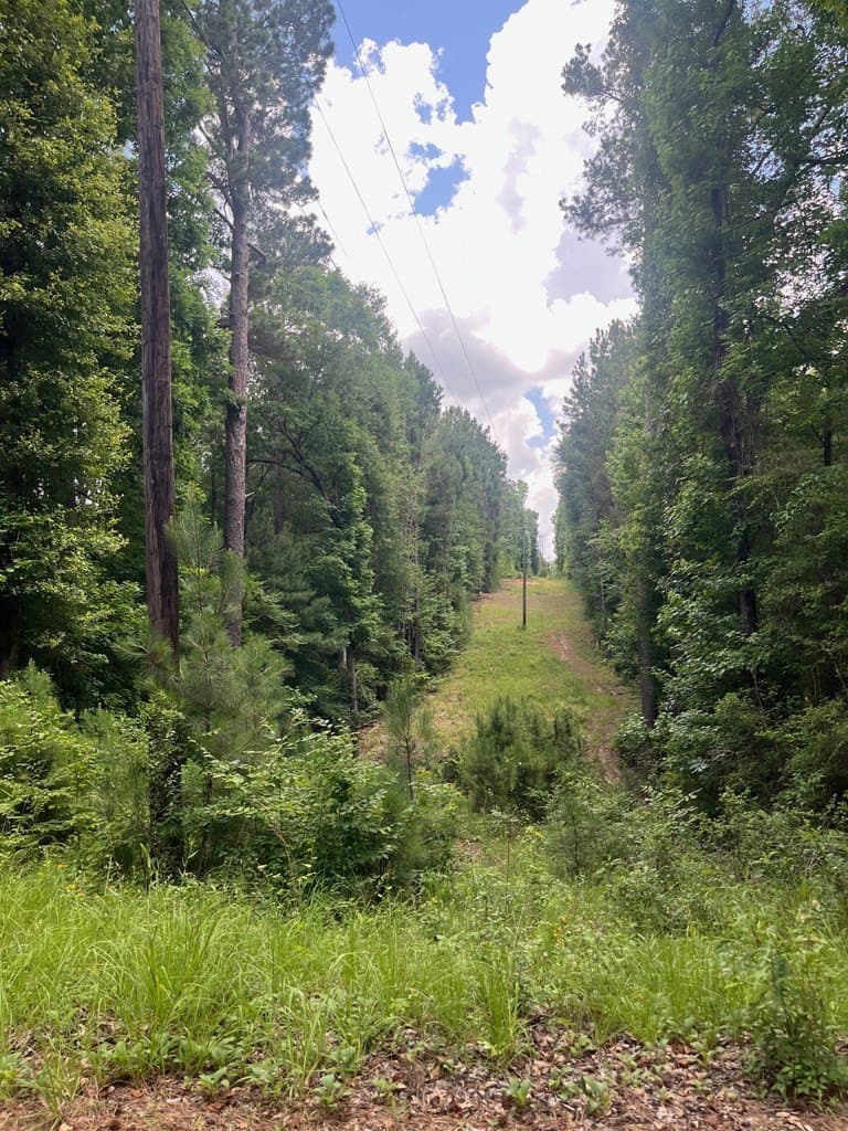 2.55 acres in CHEROKEE County gallery image 2