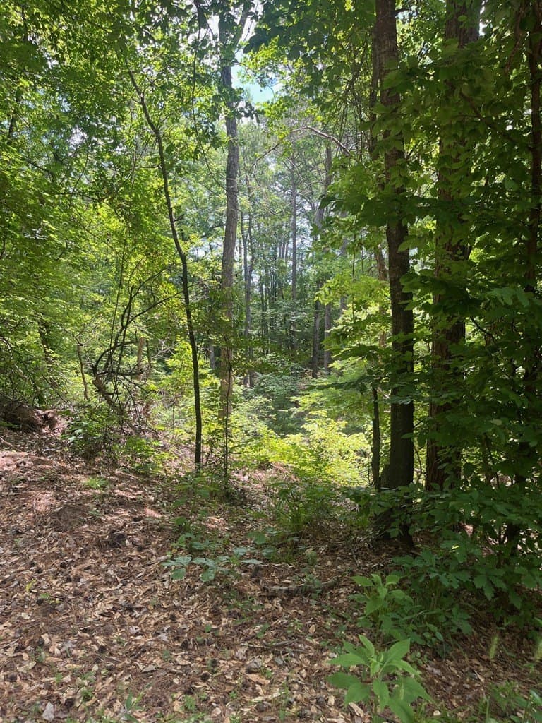 2.55 acres in CHEROKEE County gallery image 4