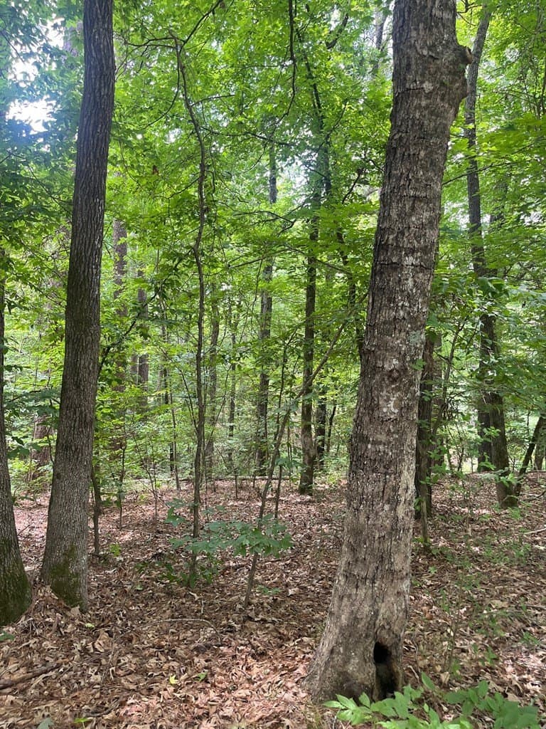2.55 acres in CHEROKEE County featured view