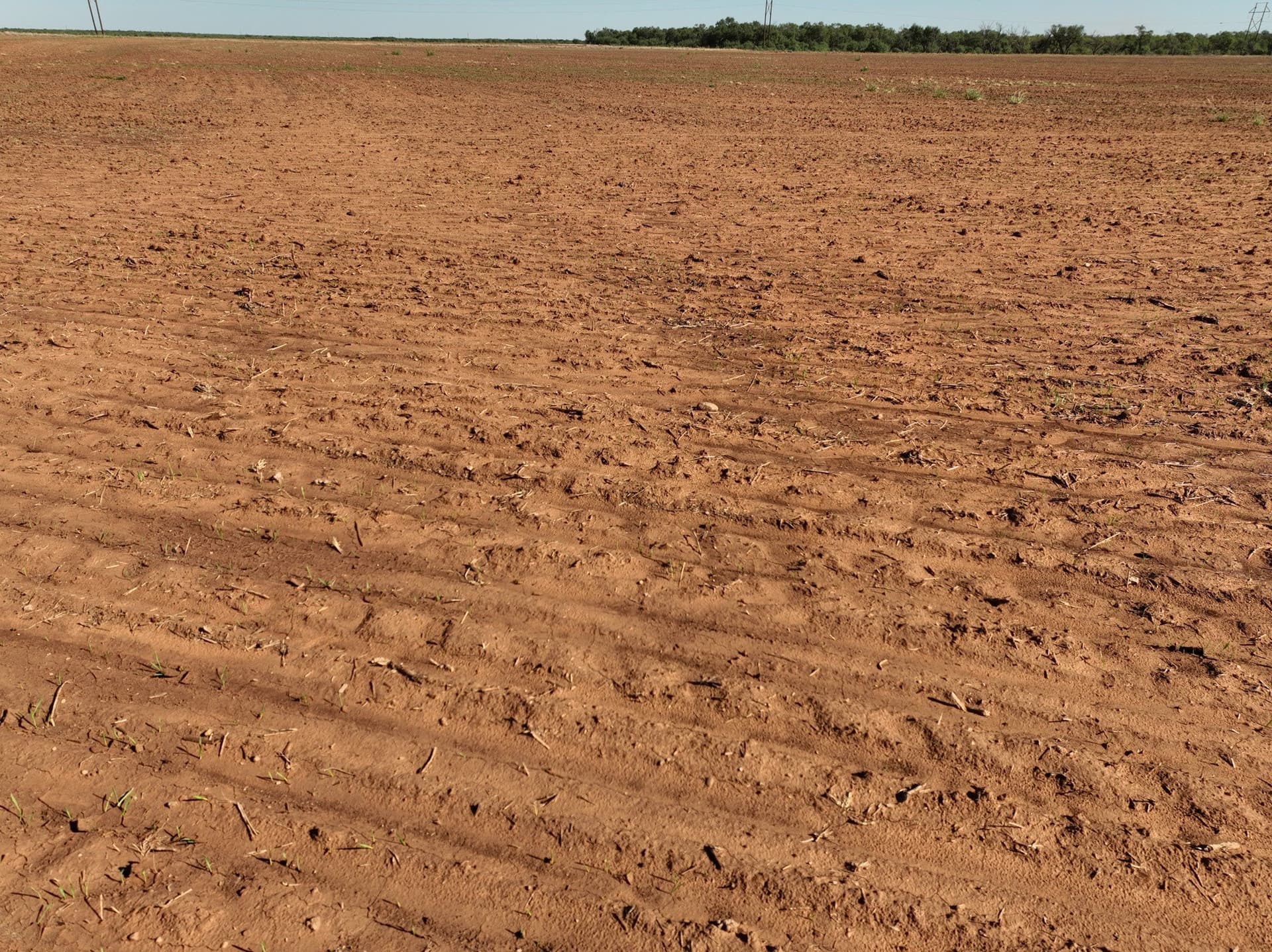 60.32 acres in Stonewall County - photo 5