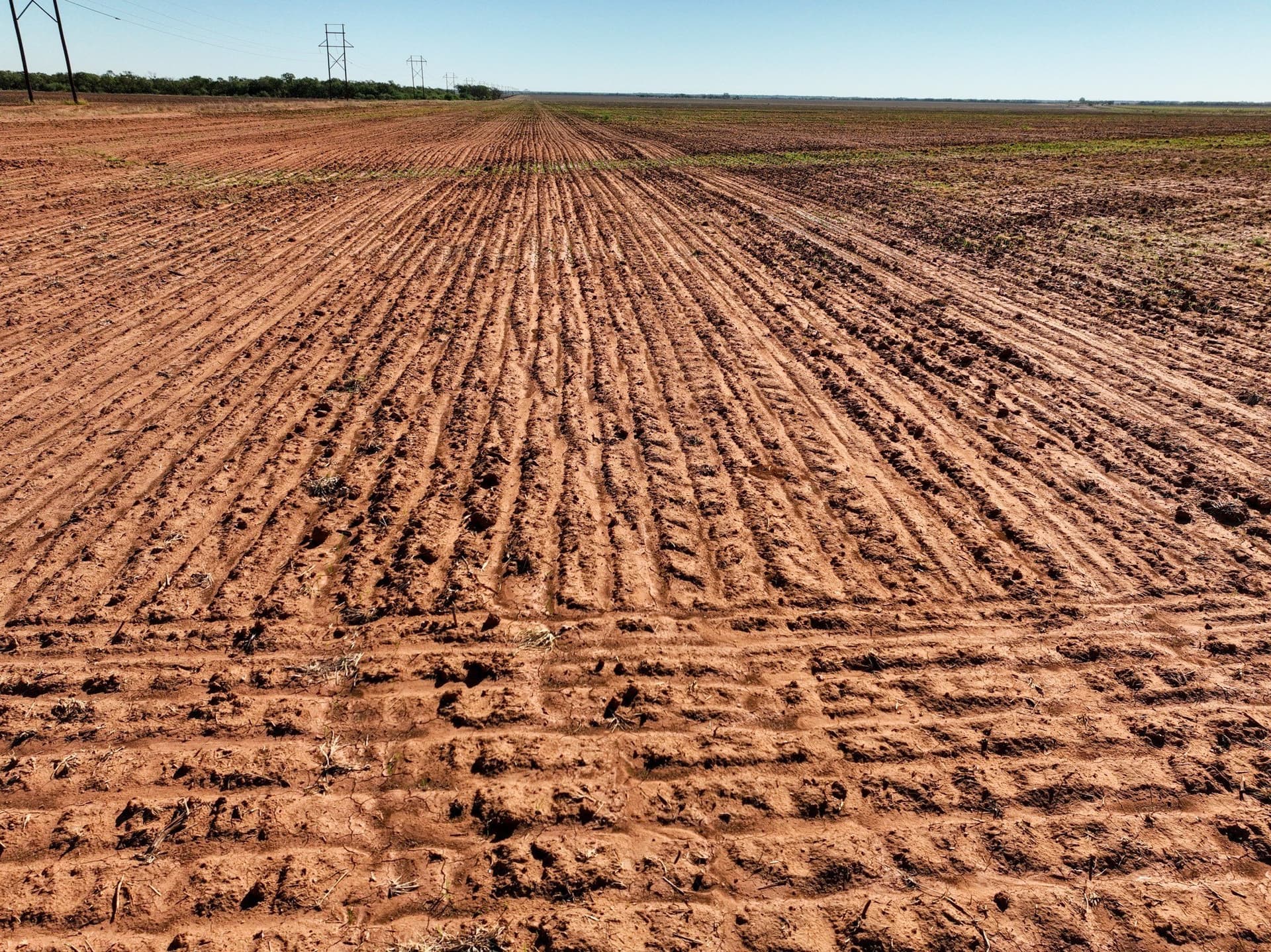 60.32 acres in Stonewall County - photo 13