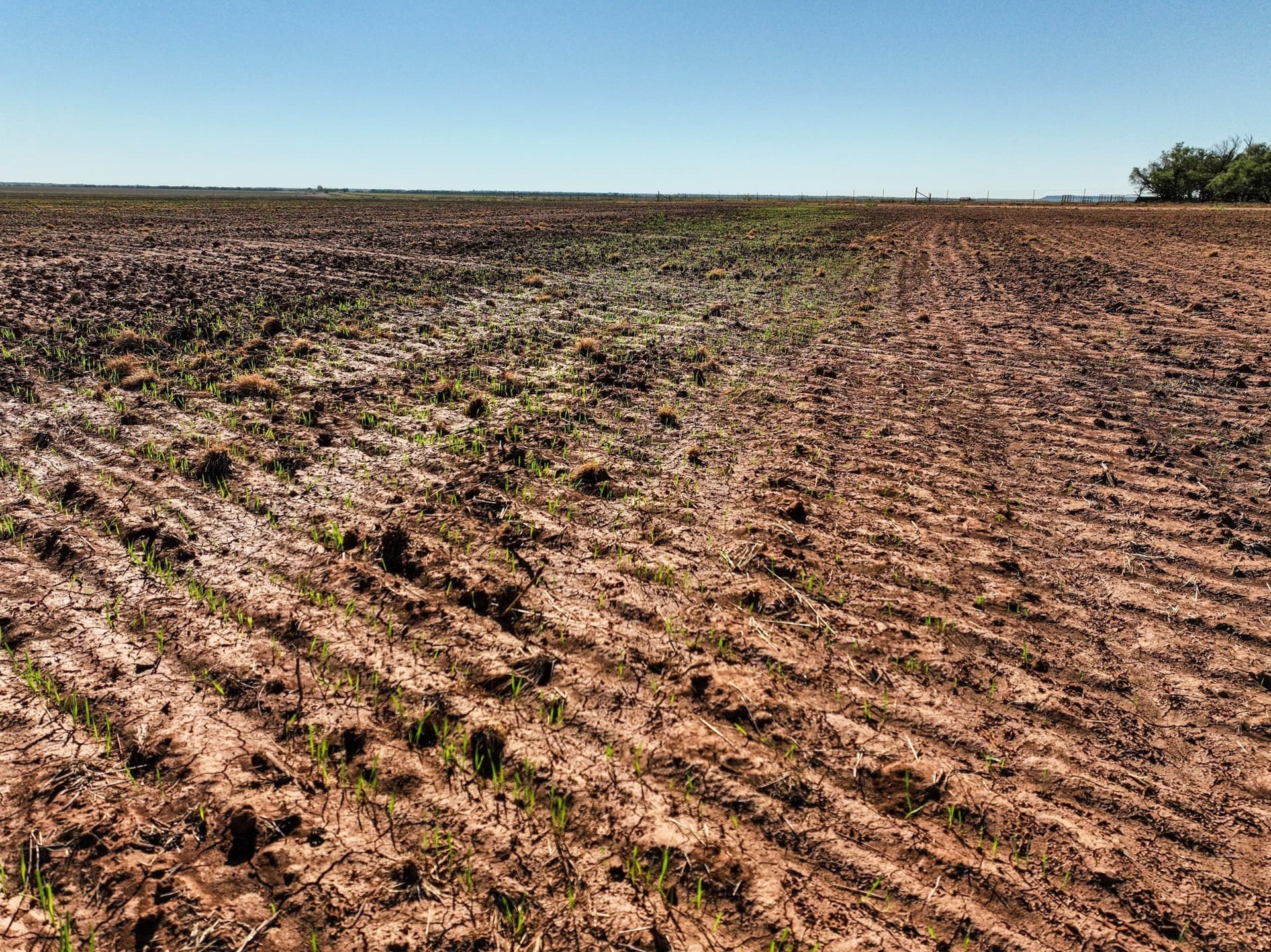 60.32 acres in Stonewall County - photo 7