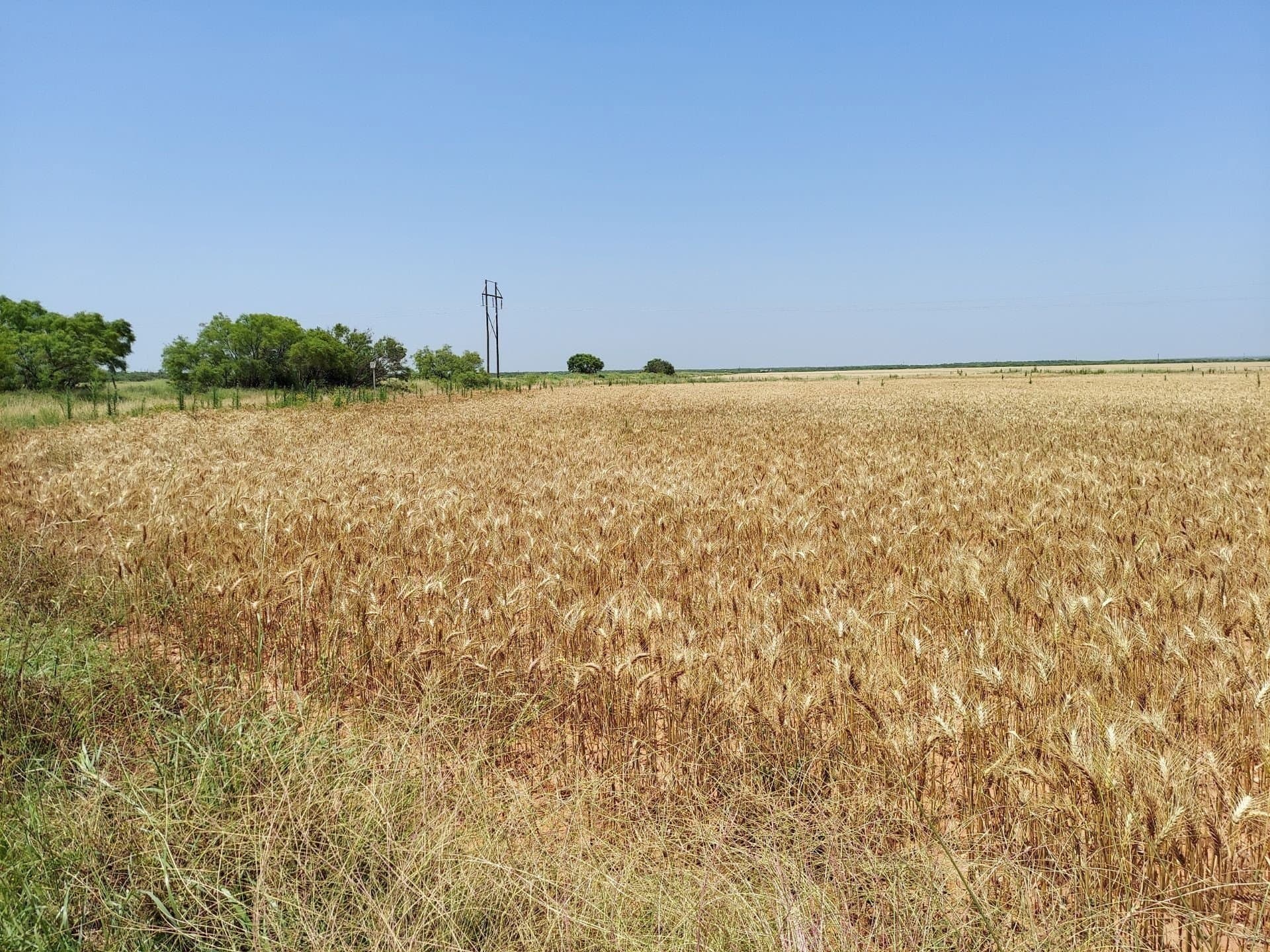 60.32 acres in Stonewall County - photo 4