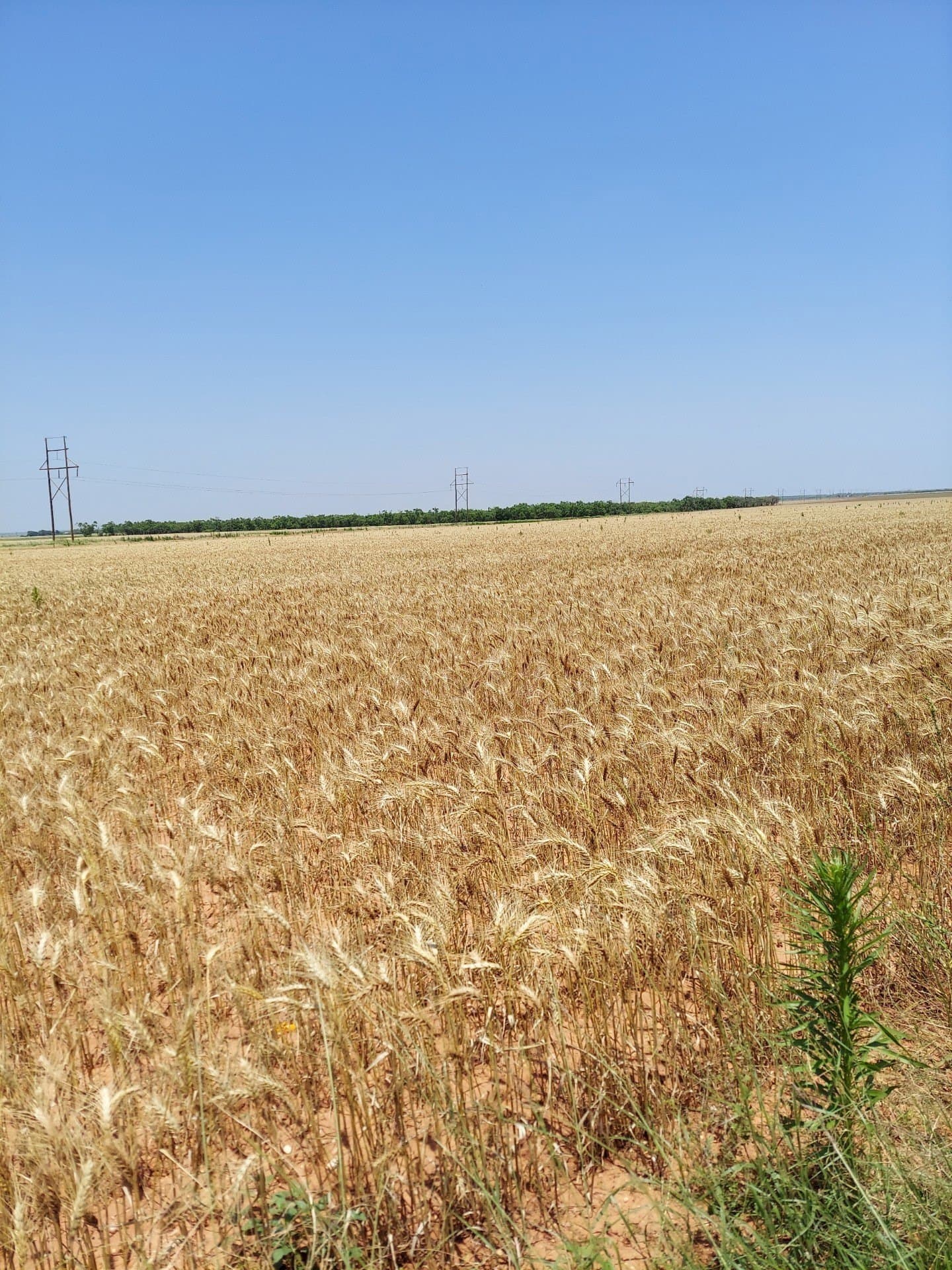 60.32 acres in Stonewall County - photo 9