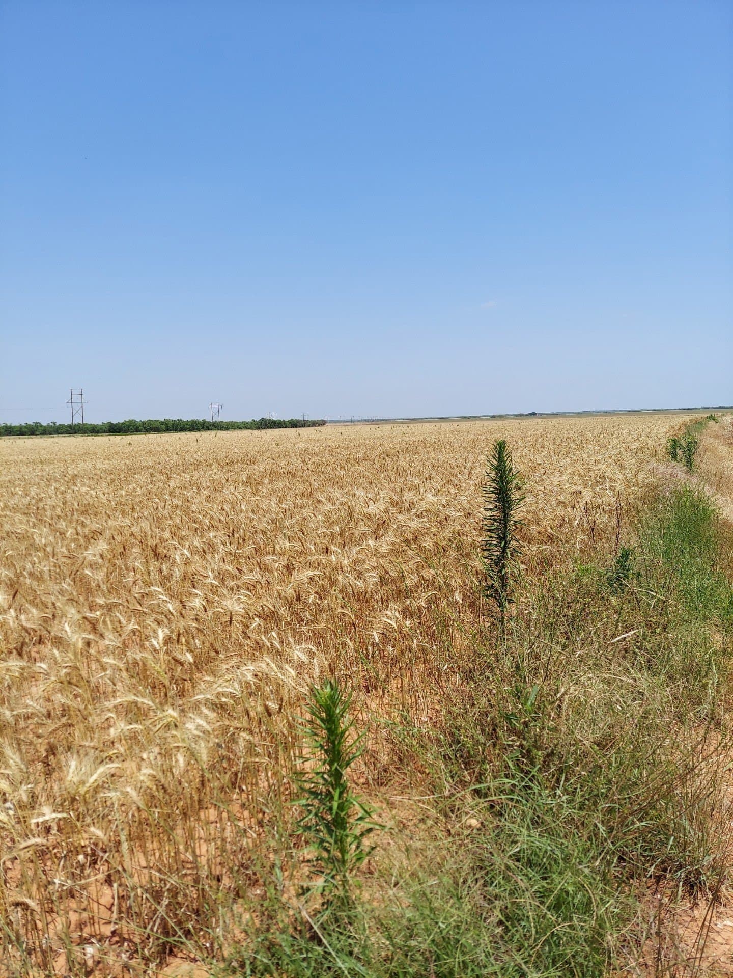 60.32 acres in Stonewall County - photo 10