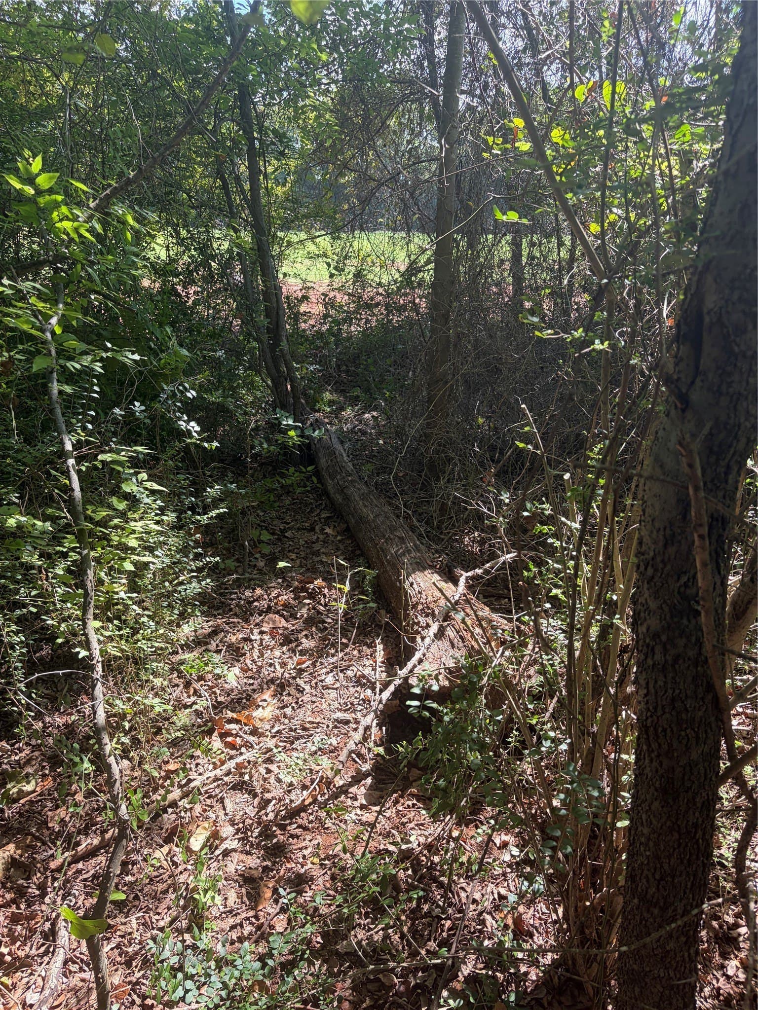0.35 acres in Cherokee County