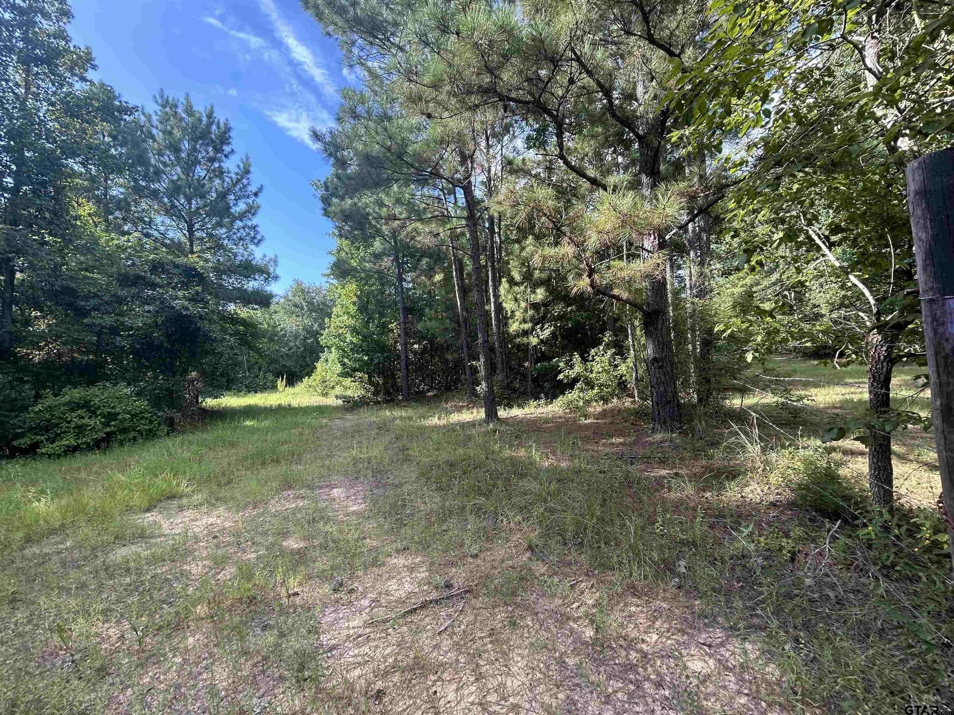 2.2 acres in Harrison County - photo 10