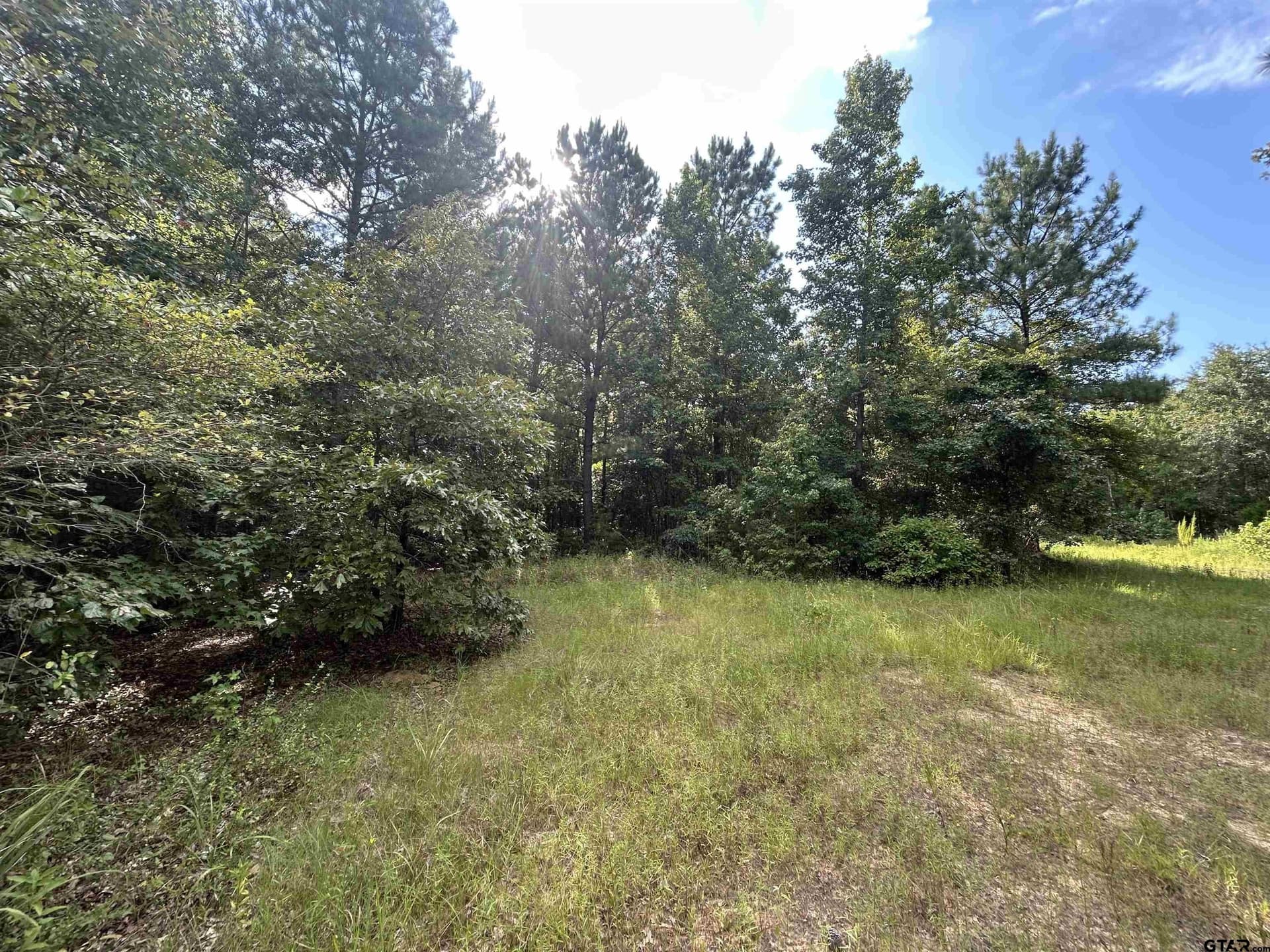 2.2 acres in Harrison County - photo 15