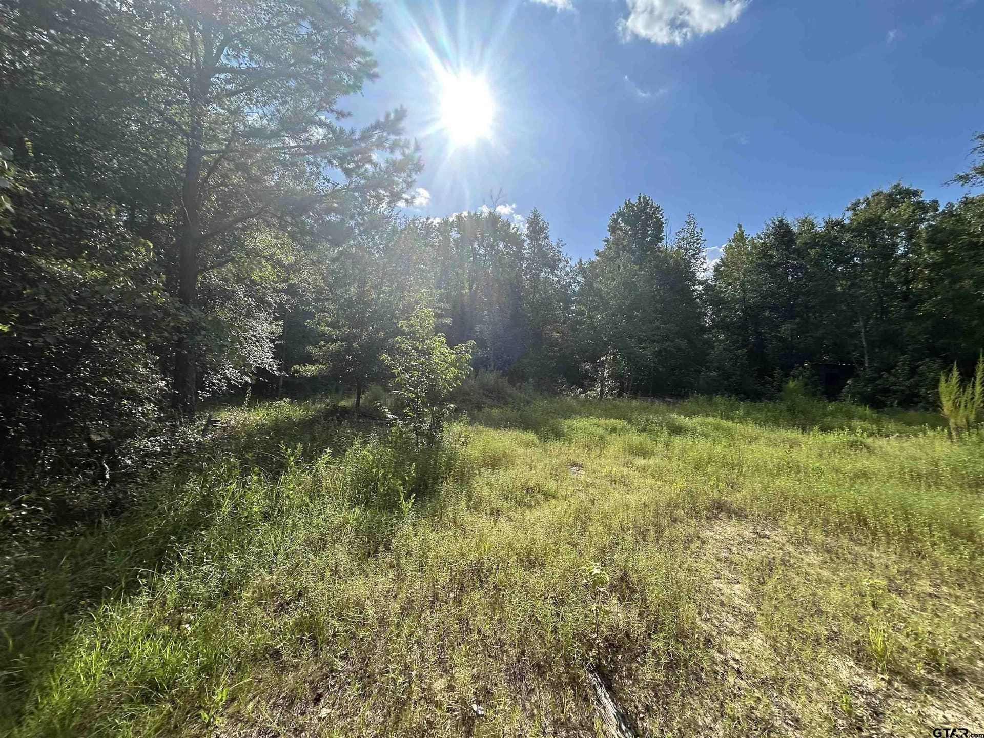 2.2 acres in Harrison County - photo 12