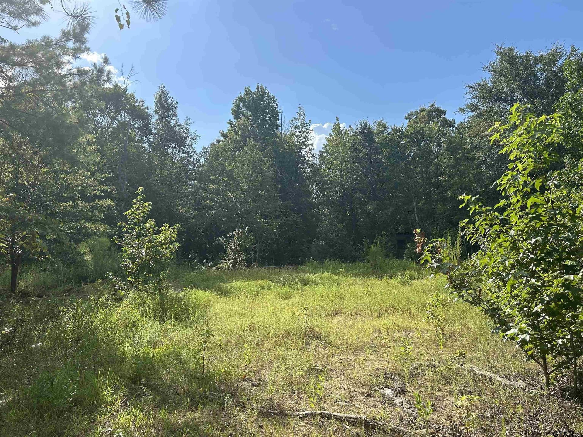 2.2 acres in Harrison County - photo 6