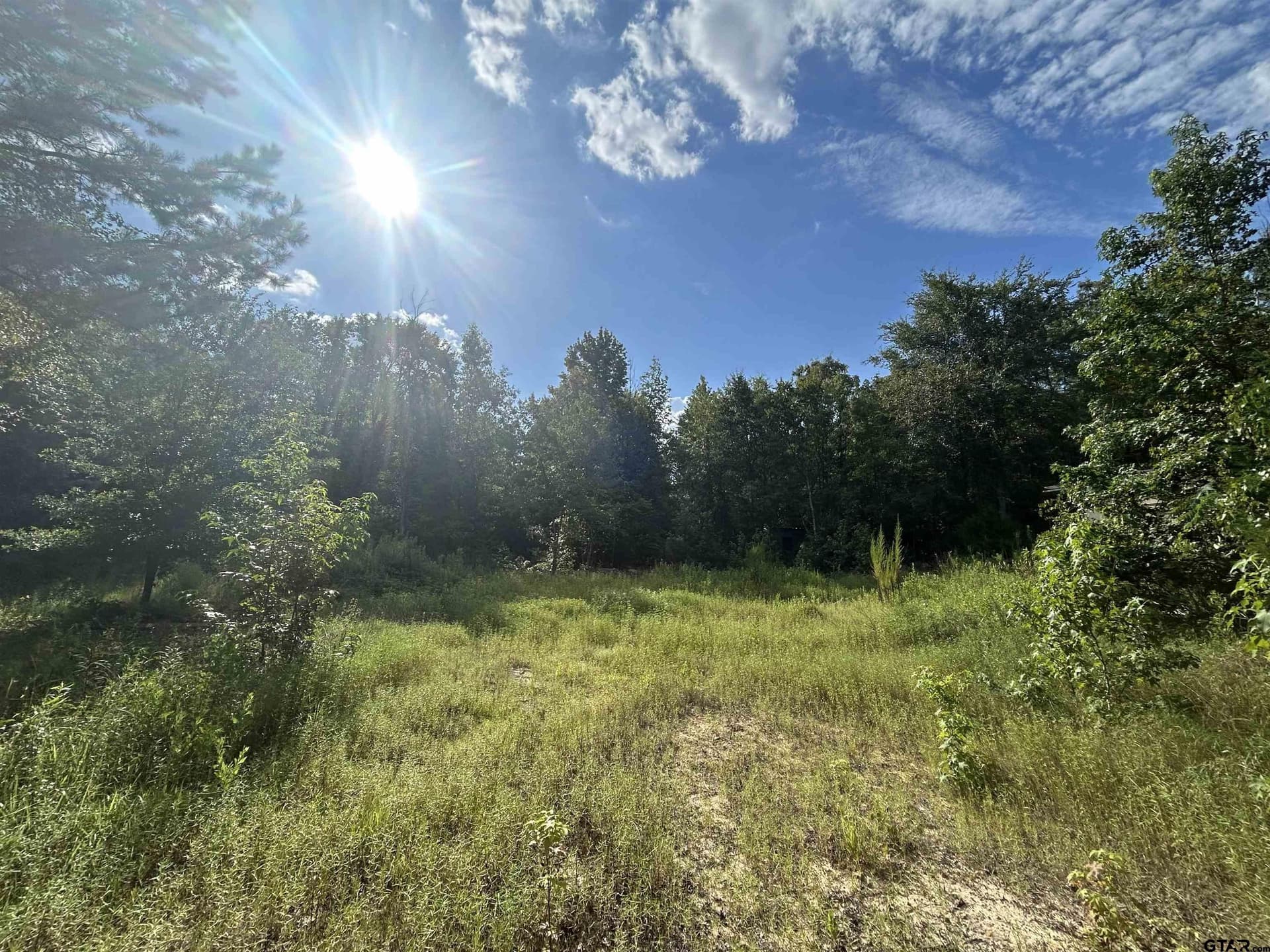 2.2 acres in Harrison County - photo 9