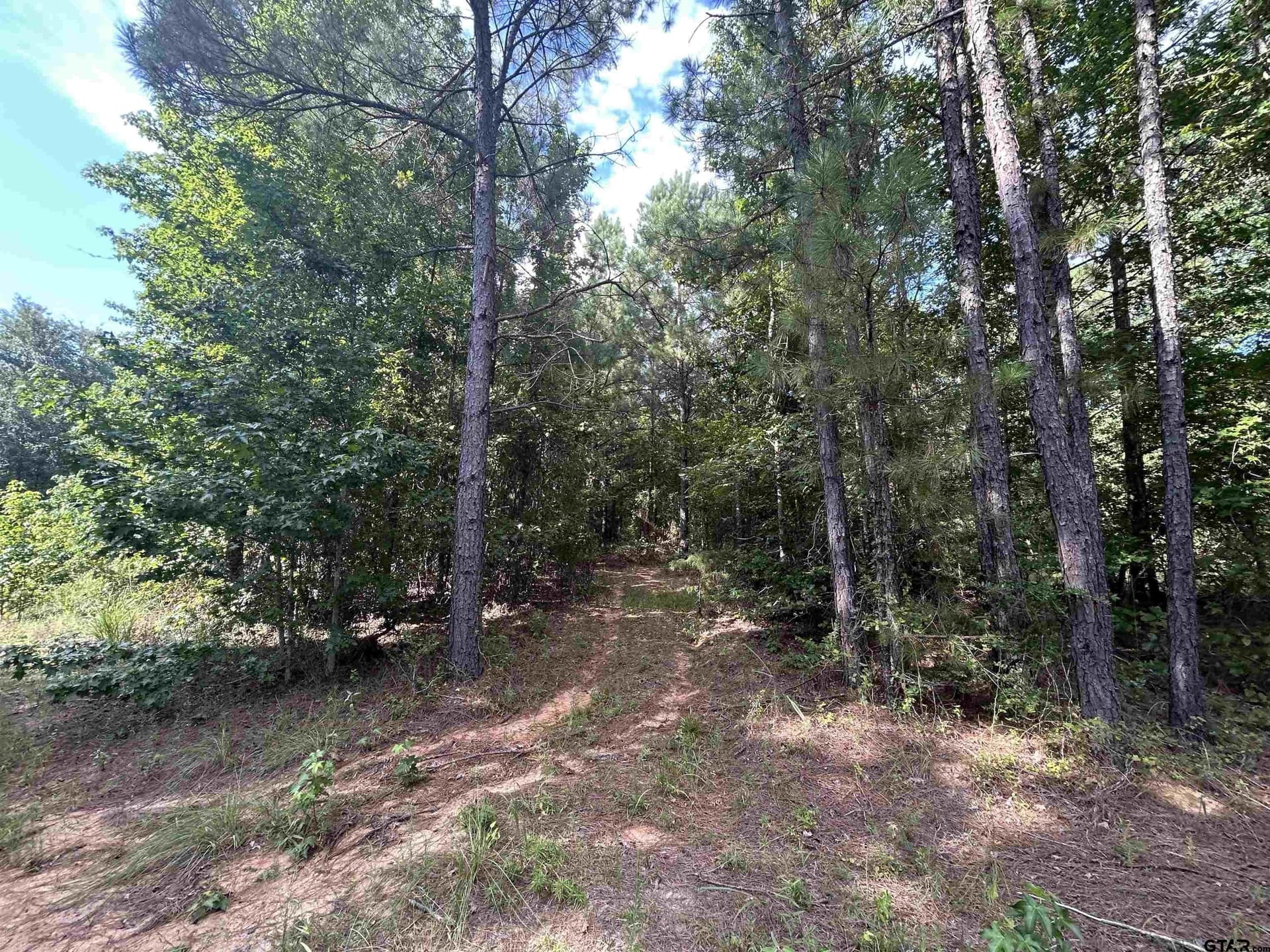 2.2 acres in Harrison County - photo 11