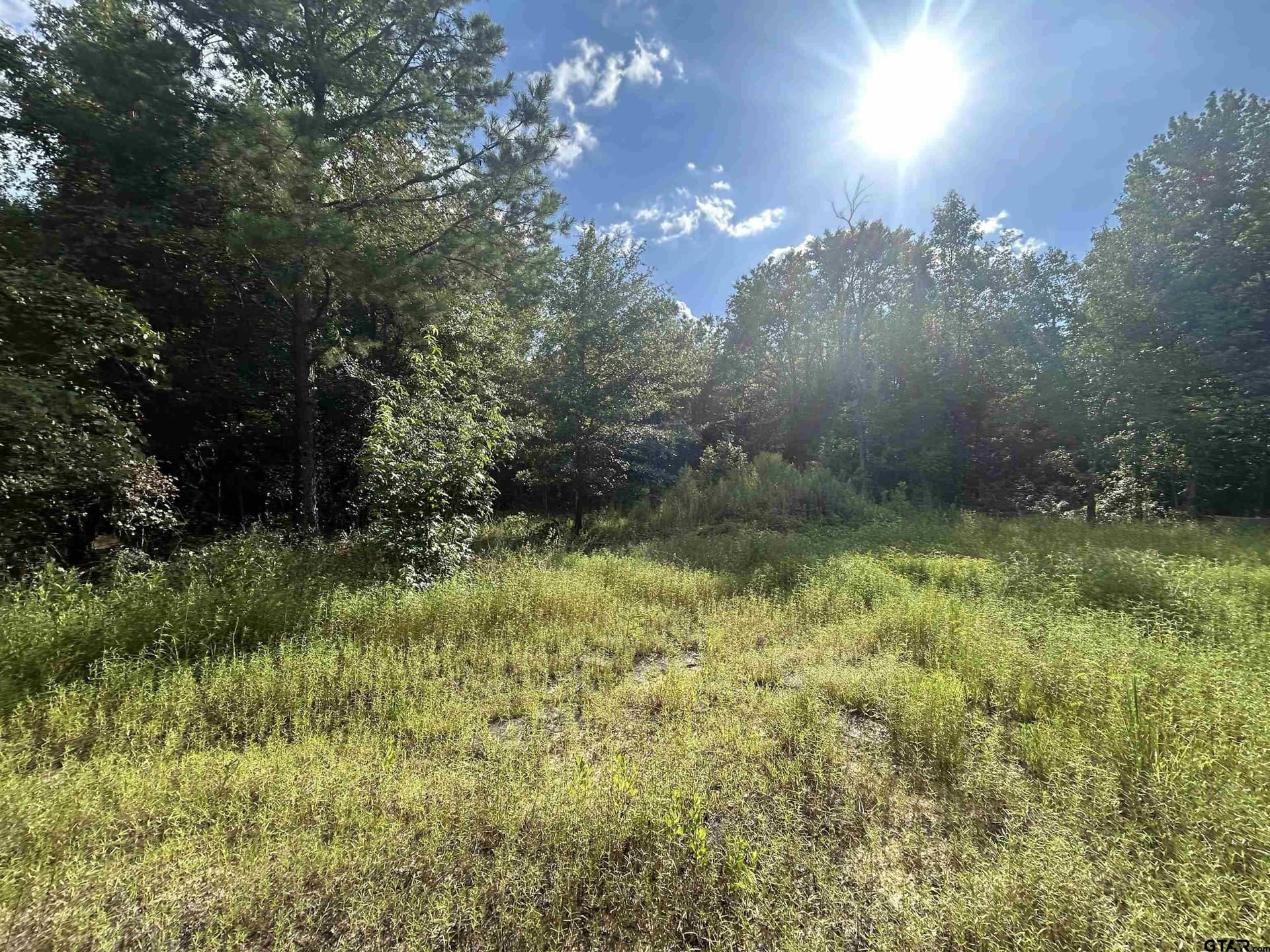 2.2 acres in Harrison County - photo 13