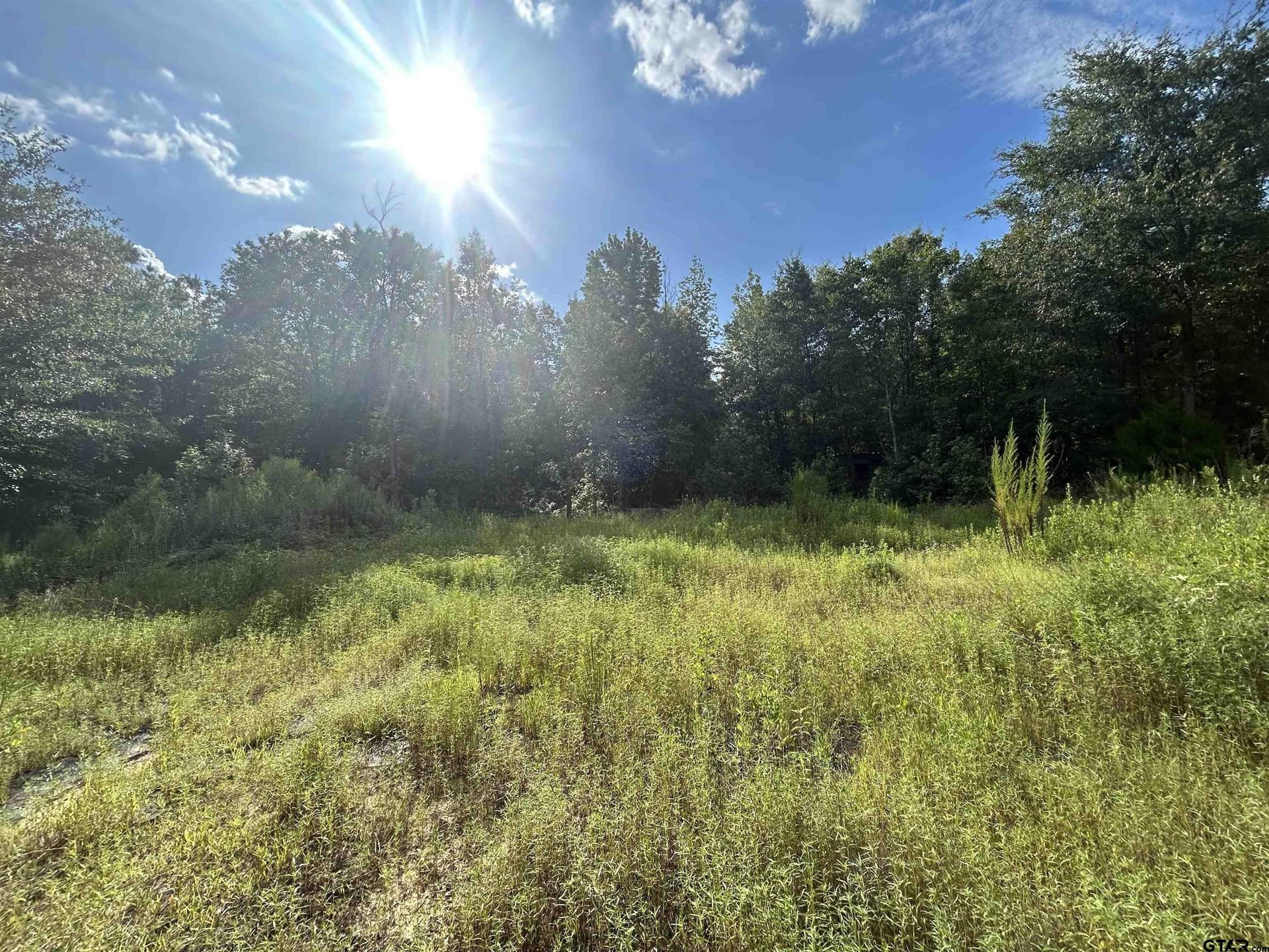 2.2 acres in Harrison County - photo 7