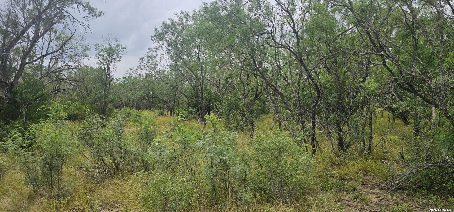 1.09 acres in Atascosa County - photo 27