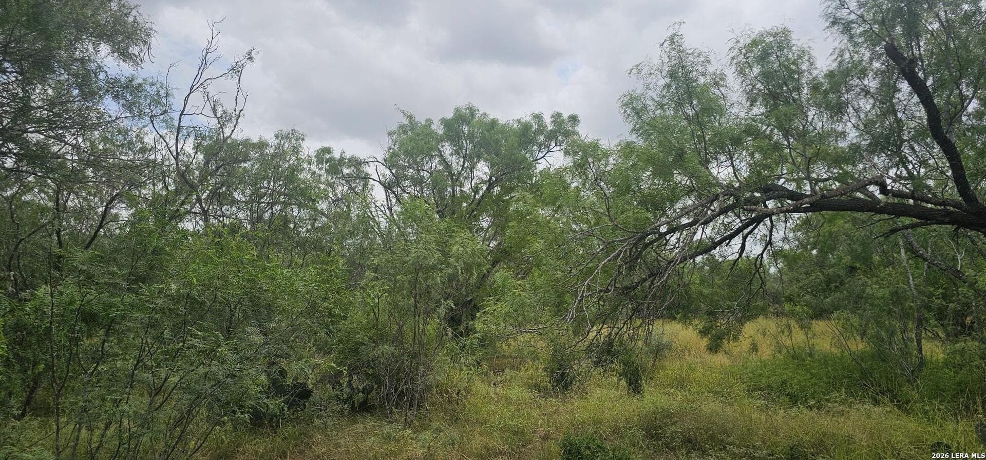 1.09 acres in Atascosa County - photo 16
