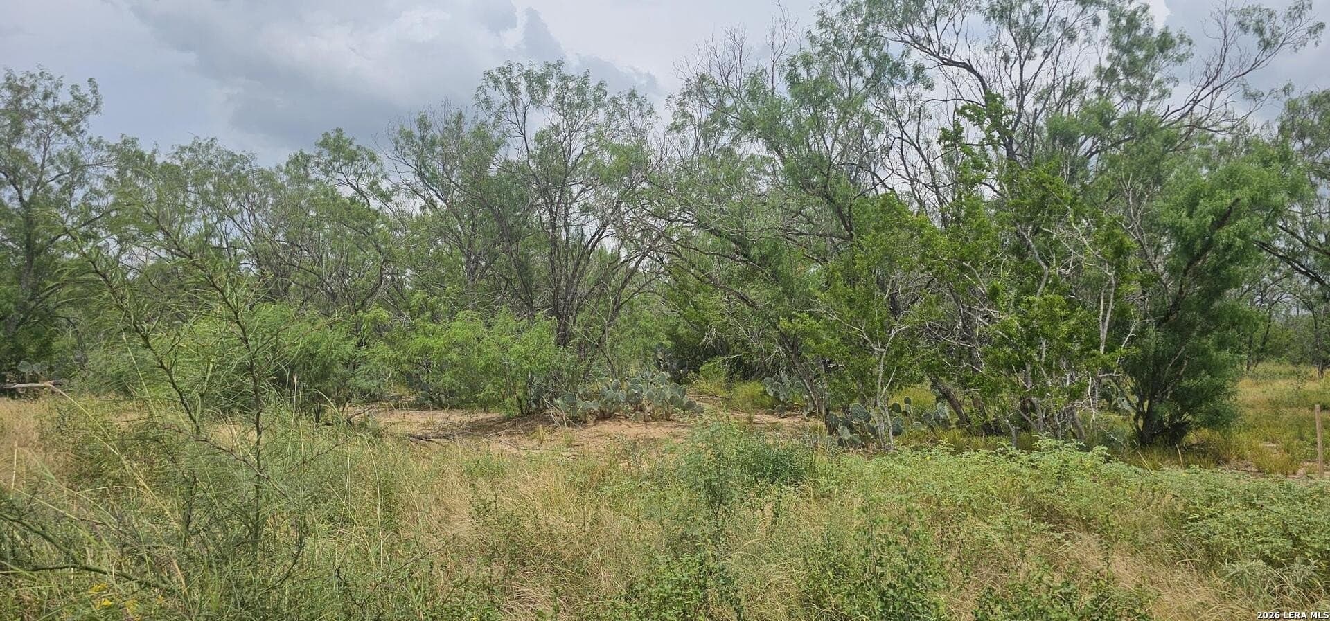 1.09 acres in Atascosa County - photo 36