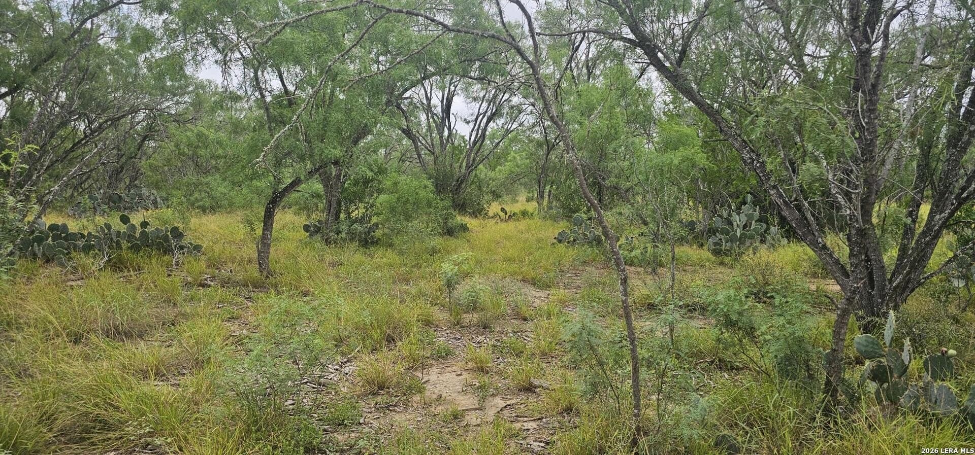 1.09 acres in Atascosa County - photo 8