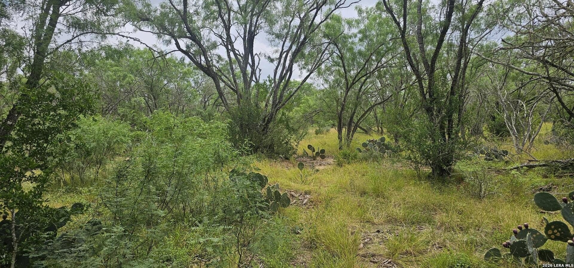 1.09 acres in Atascosa County - photo 32