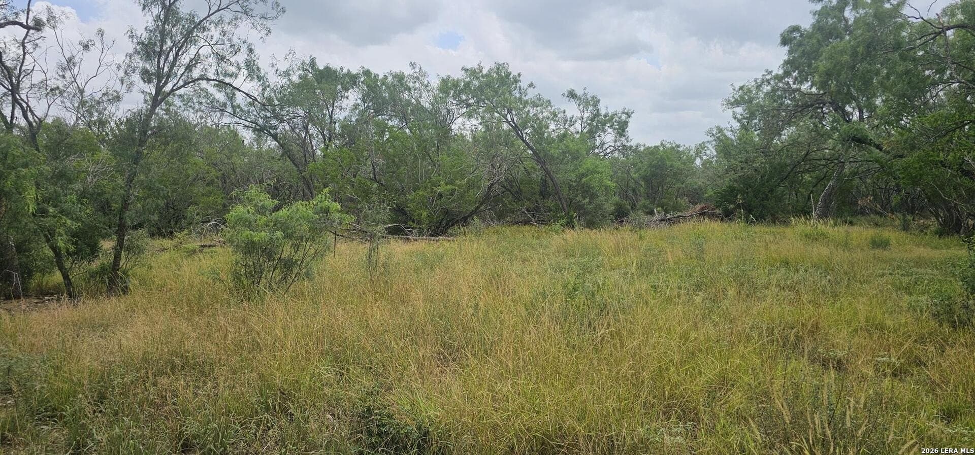 1.09 acres in Atascosa County - photo 19