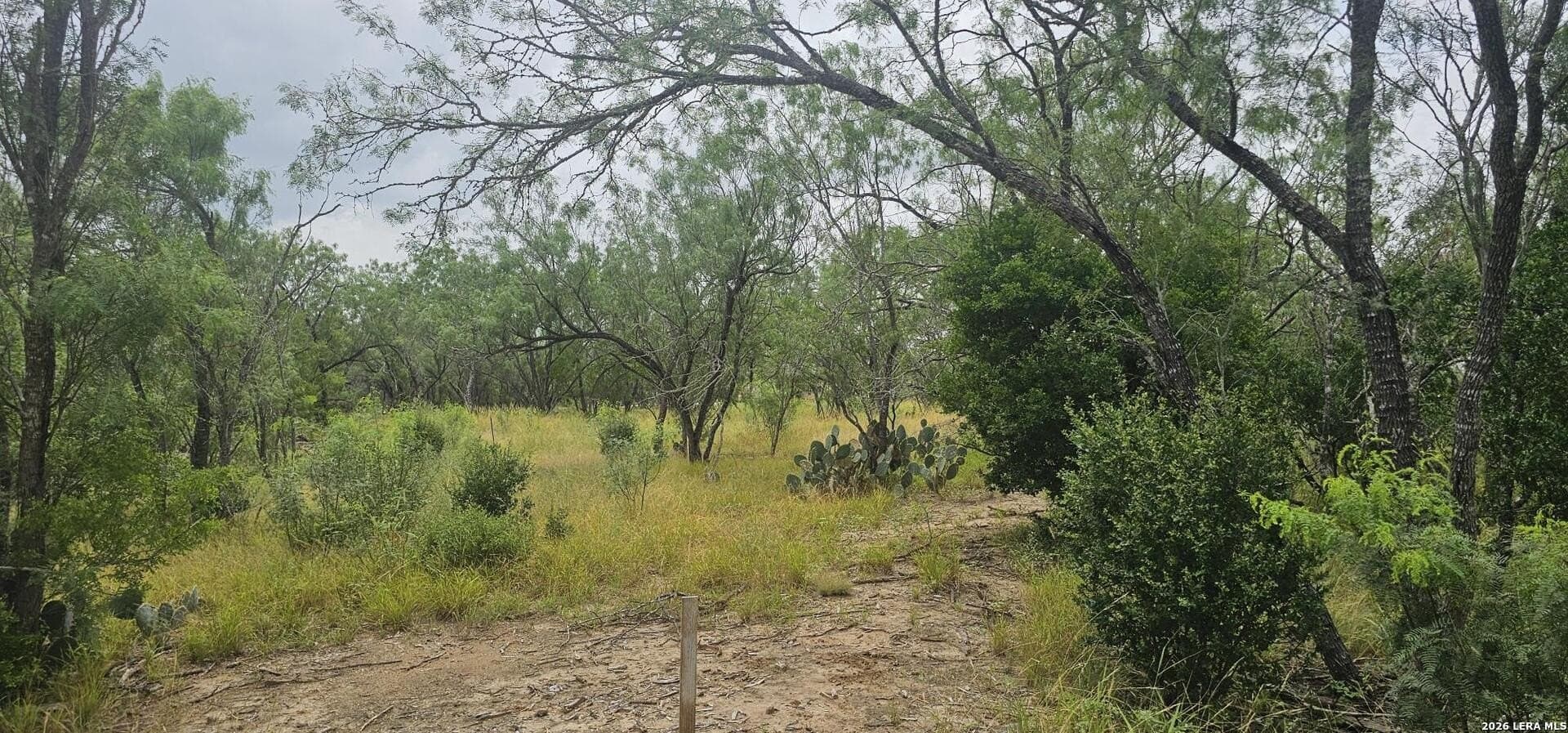 1.09 acres in Atascosa County - photo 25