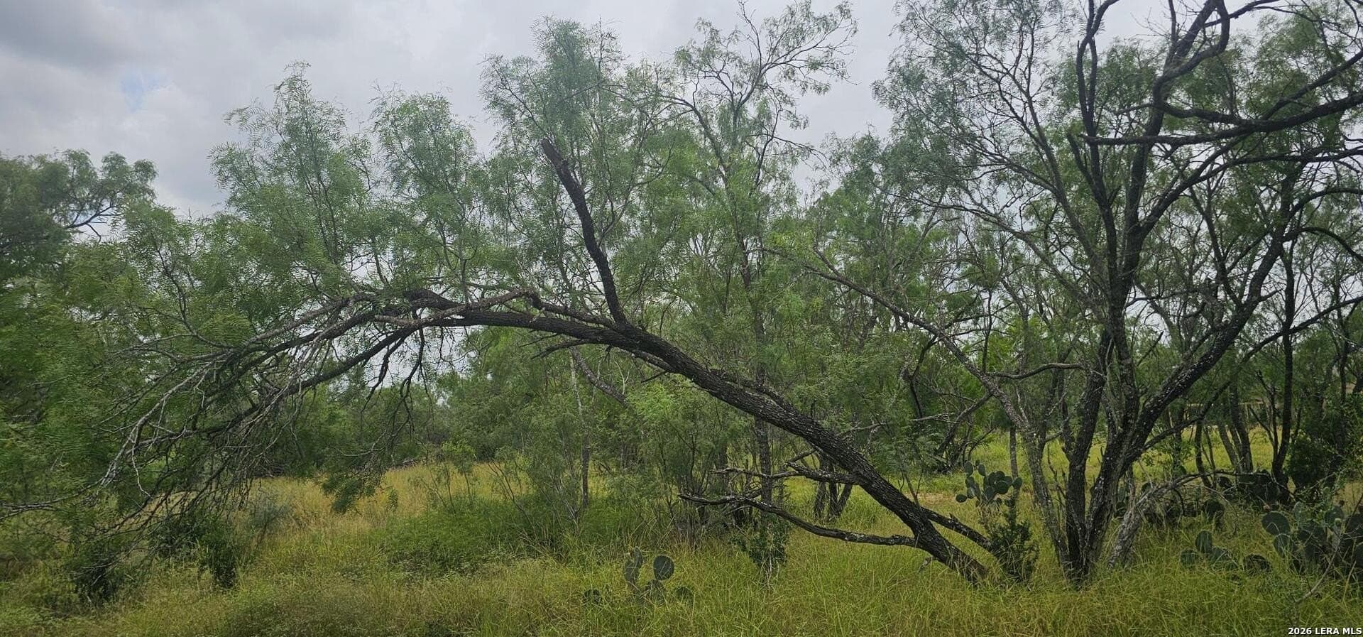 1.09 acres in Atascosa County - photo 17