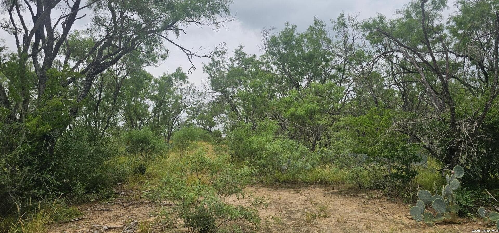 1.09 acres in Atascosa County - photo 15