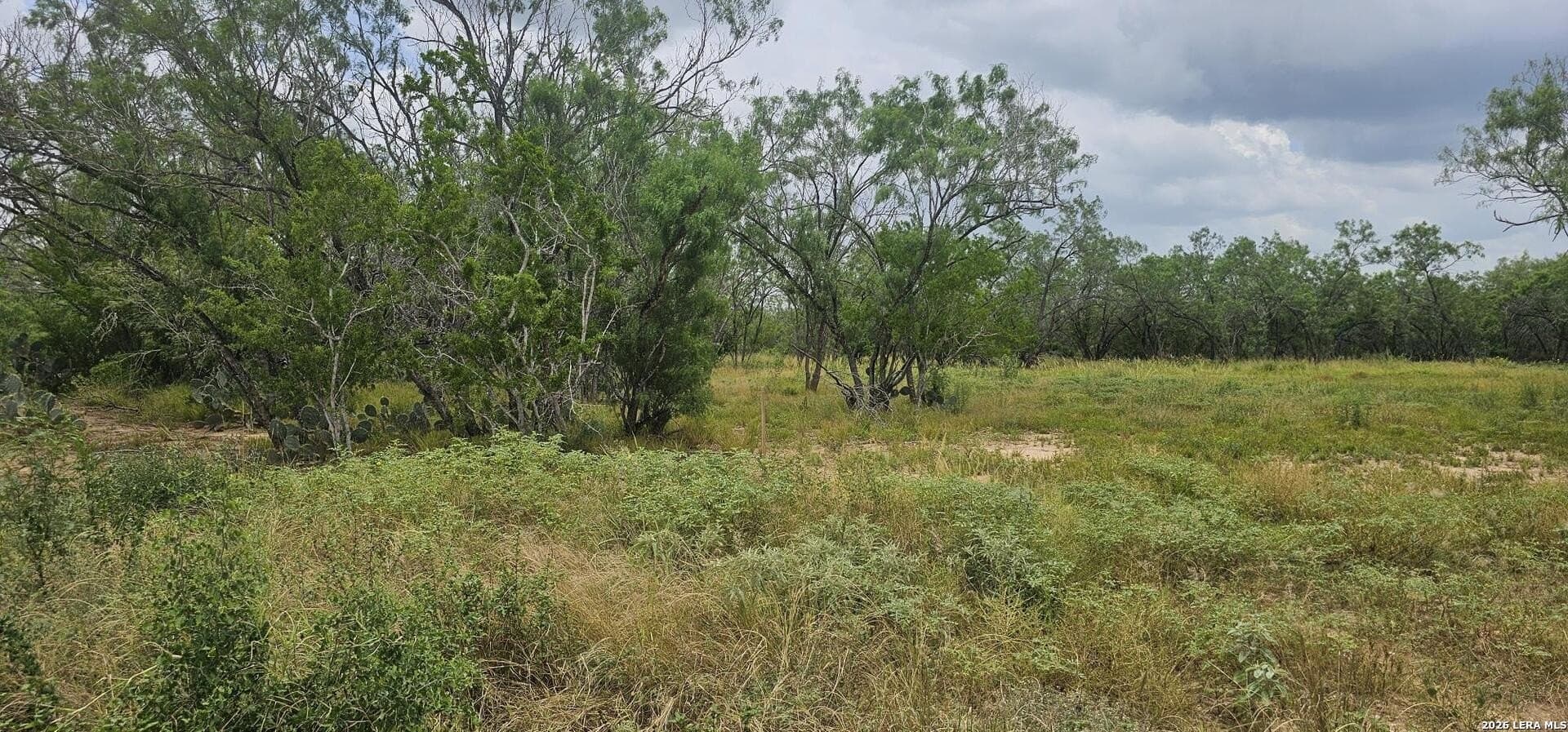 1.09 acres in Atascosa County - photo 34