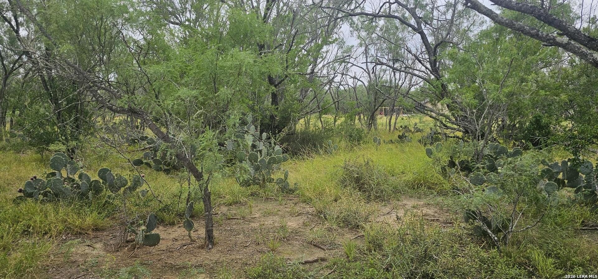 1.09 acres in Atascosa County - photo 10
