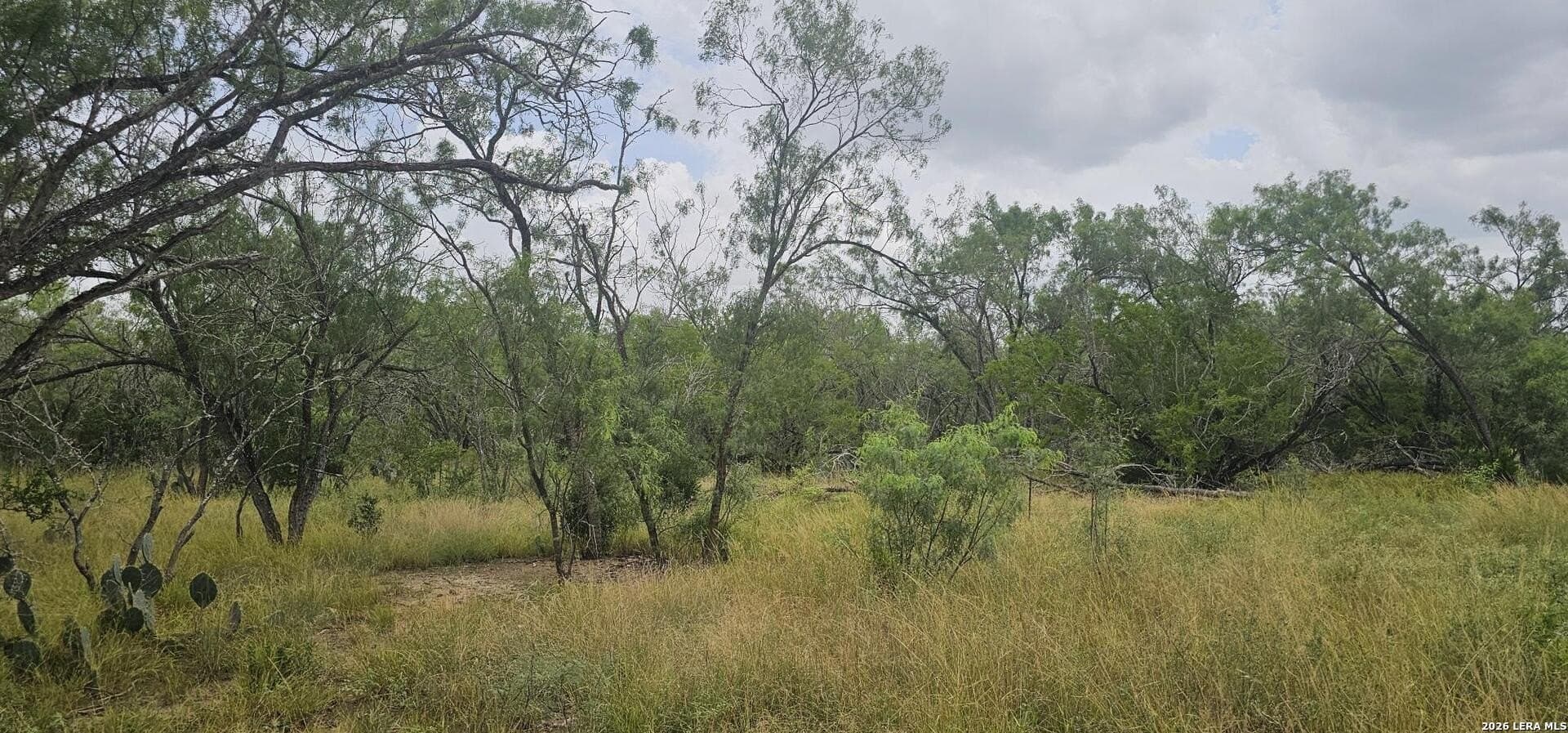 1.09 acres in Atascosa County - photo 18