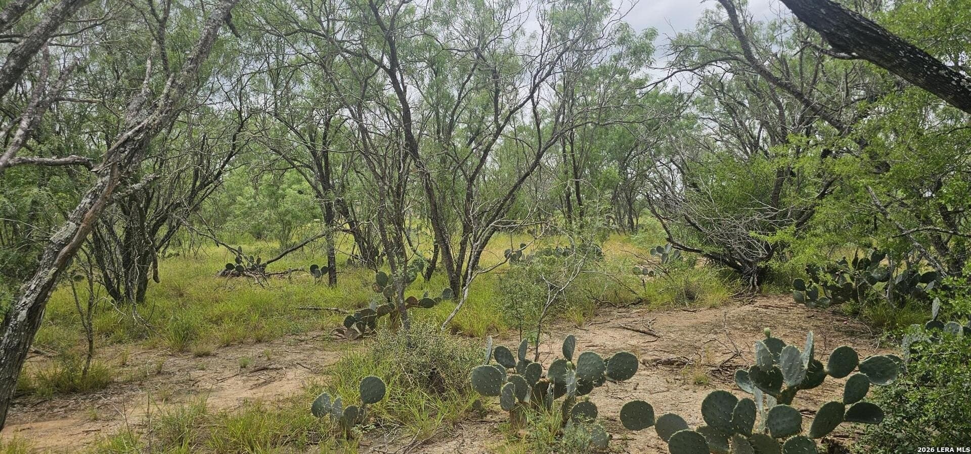 1.09 acres in Atascosa County - photo 29