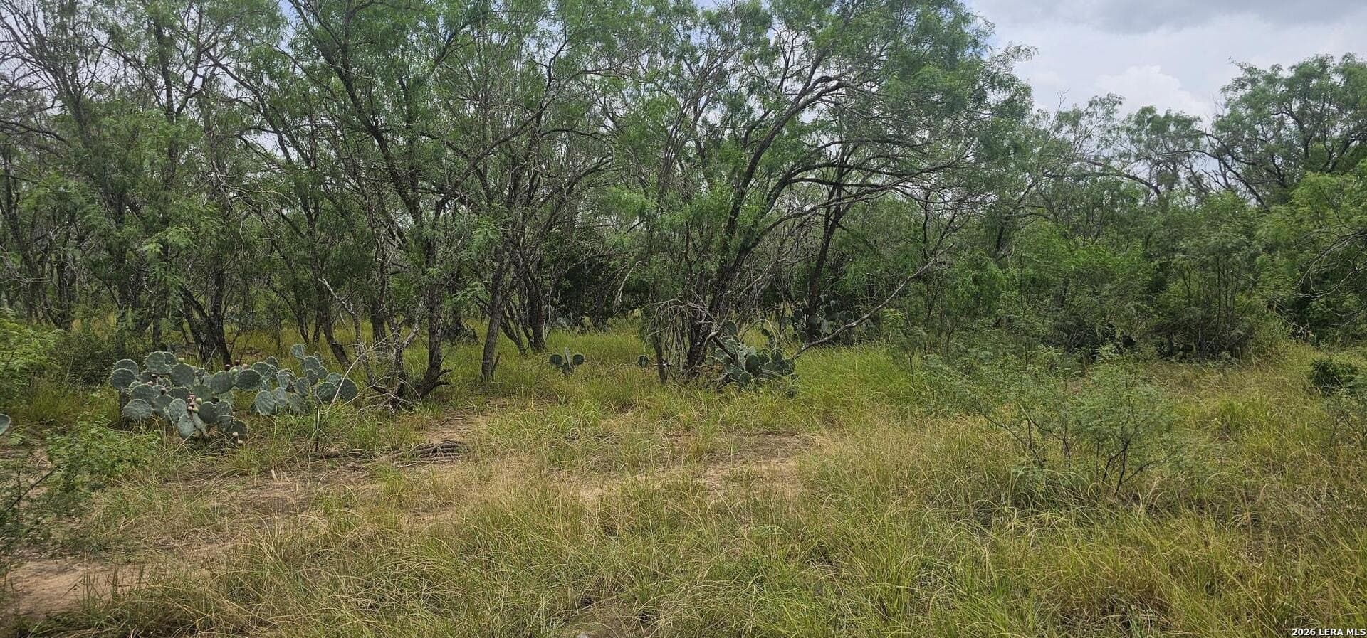 1.09 acres in Atascosa County - photo 13