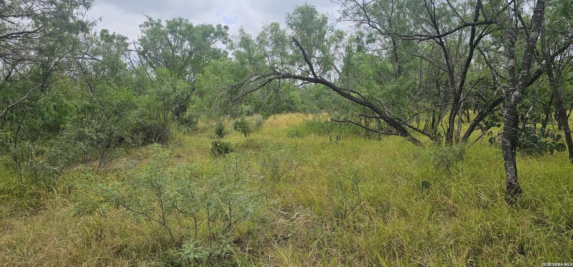 1.09 acres in Atascosa County - photo 14