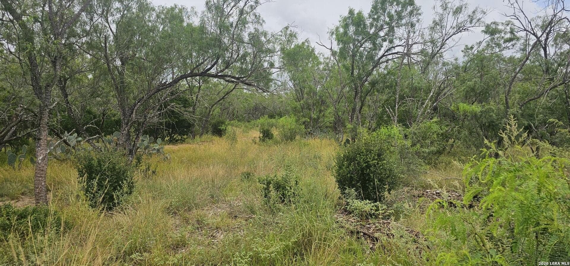 1.09 acres in Atascosa County - photo 21