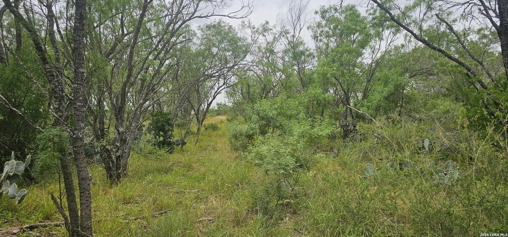 1.09 acres in Atascosa County - photo 28