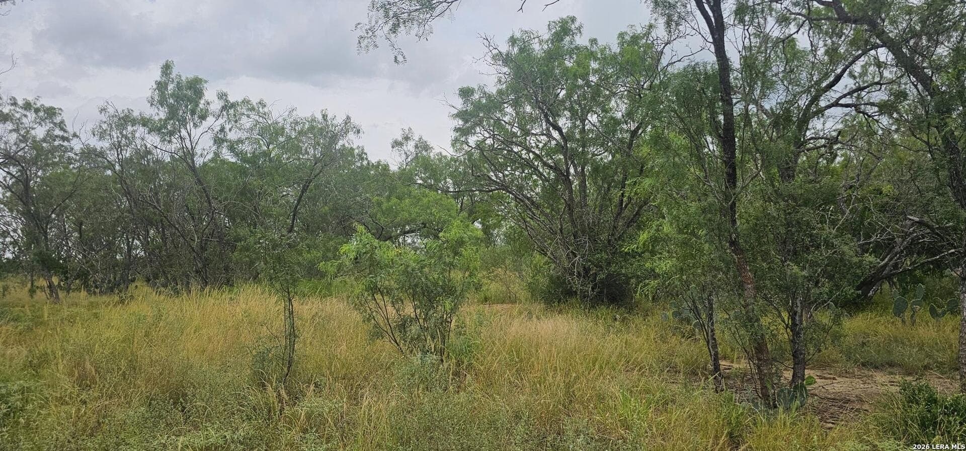 1.09 acres in Atascosa County - photo 23
